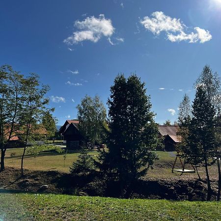 Erzsebet Szallo Izvoare  Luaran gambar