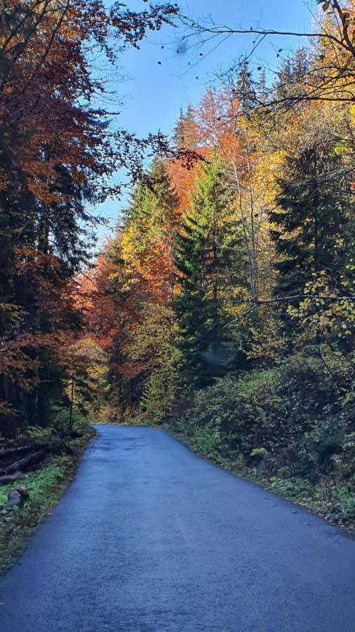 Erzsebet Szallo Izvoare  Luaran gambar