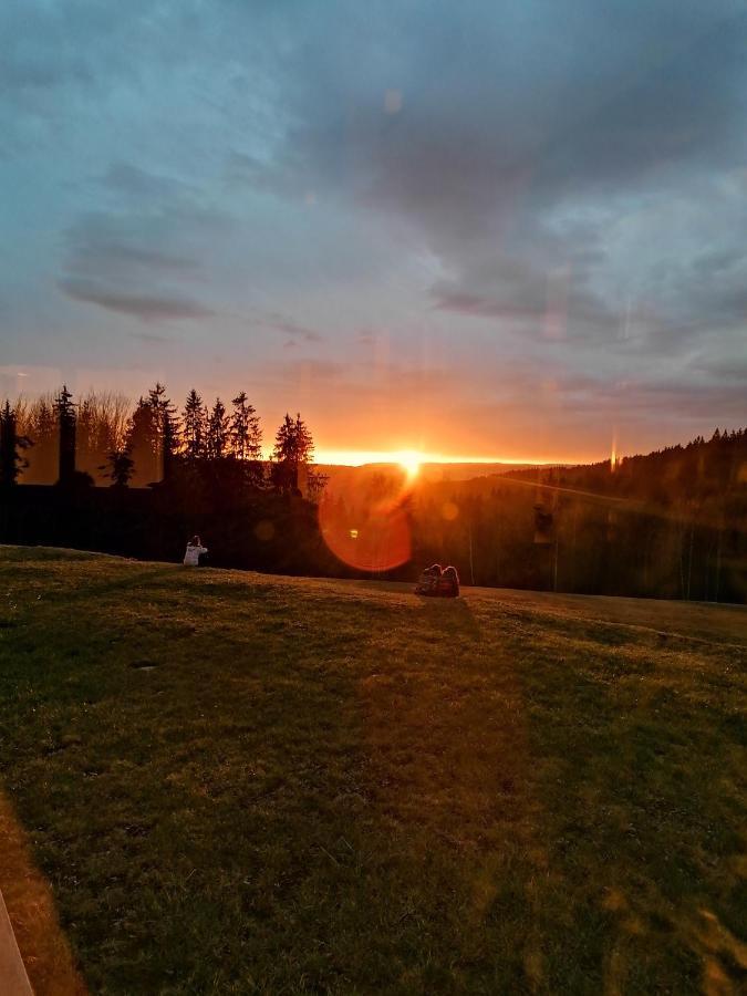 Erzsebet Szallo Izvoare  Luaran gambar