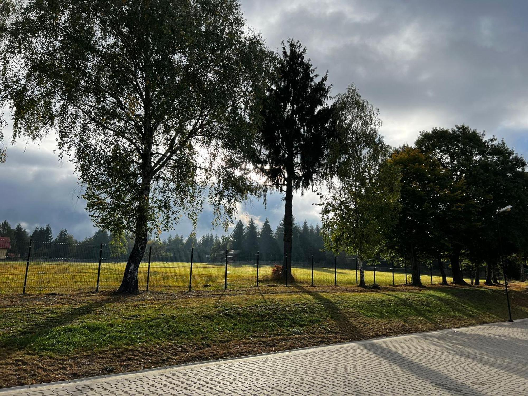 Erzsebet Szallo Izvoare  Luaran gambar